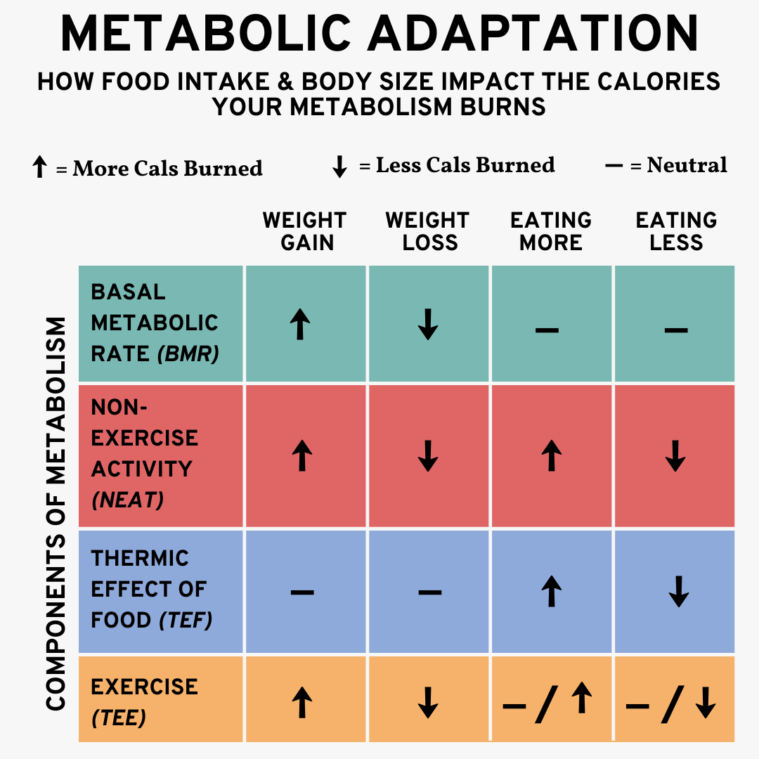 3d07ec3cd88f36bc65a7182215ed320d