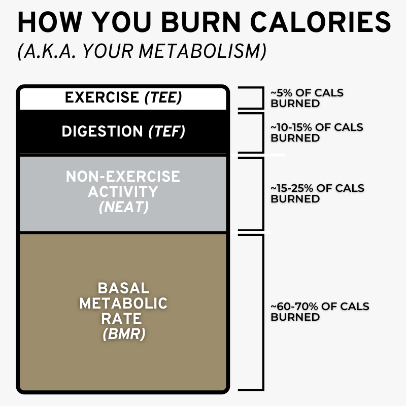 b07b8d91e7ec2fd6851f99ae28d68ab3