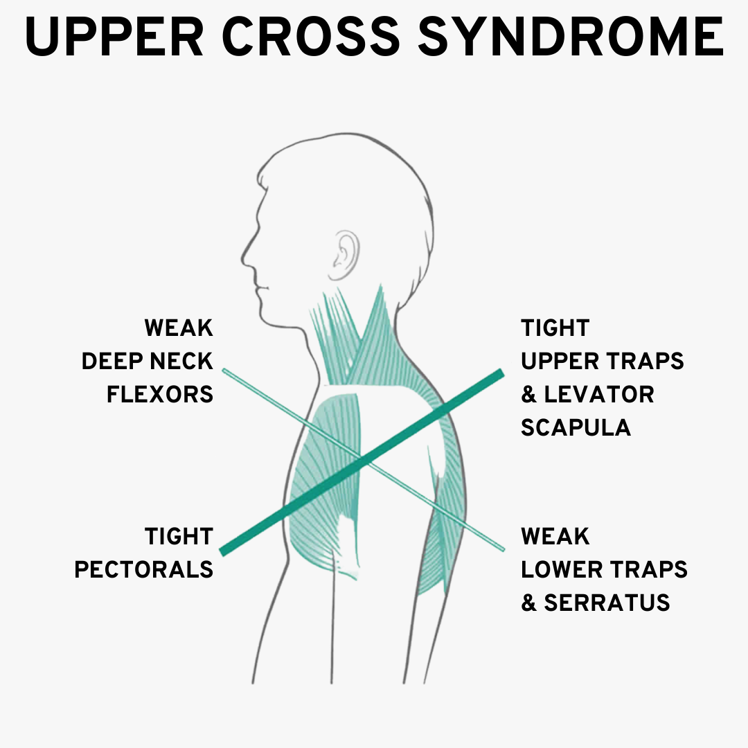 c1e76764e4f0c798dc374b8f6bca5997