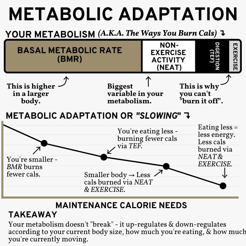 d876eab82a7ecd89d268608d33a50091